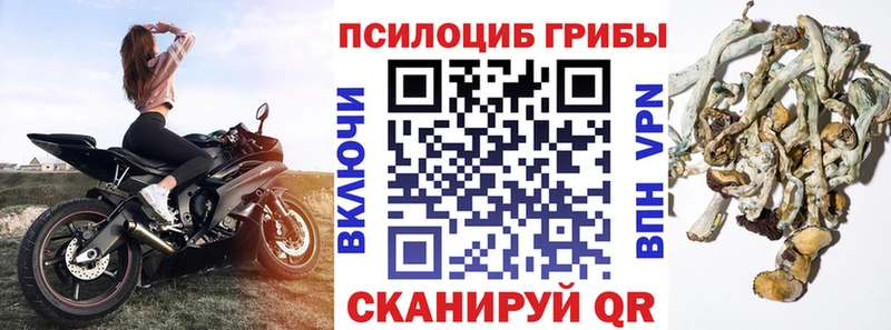 Галлюциногенные грибы GOLDEN TEACHER Игра